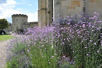 Chiddingstone Castle 1083881 Image 2